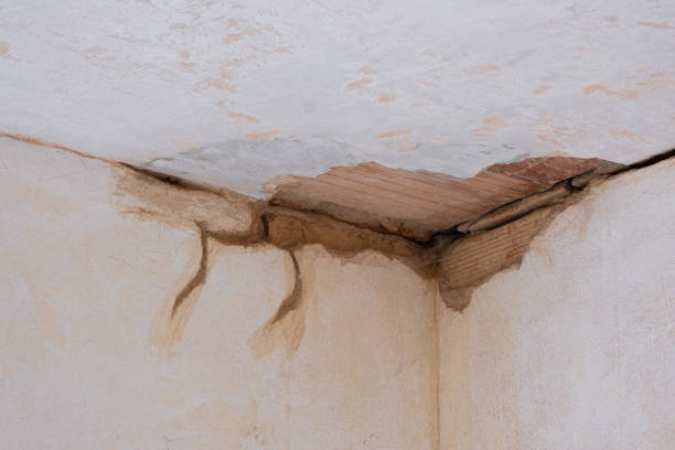 Best Sewage cleanup and water damage restoration  in Lowesville, NC