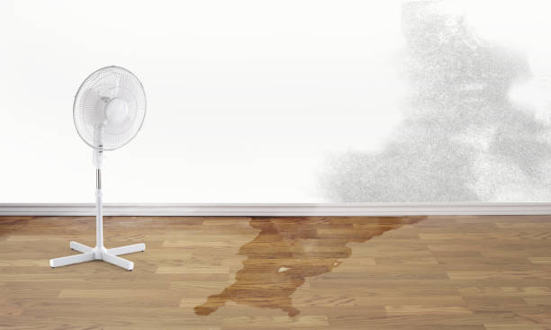Best Flood damage cleanup  in Lowesville, NC