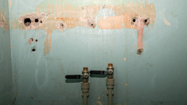  Lowesville, NC Water damage restoration Pros