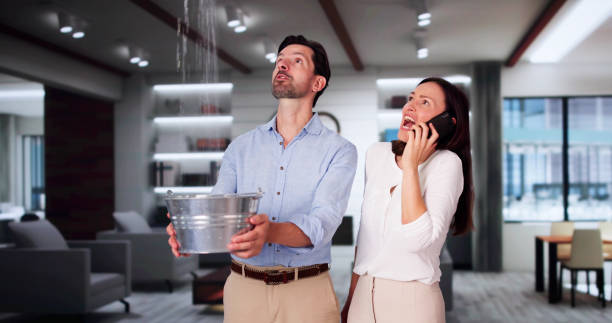 Trusted Lowesville, NC Water damage restoration Experts